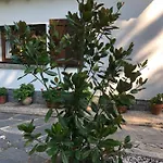 Dom wakacyjny Aurelia - Con Jardin Y Piscina Entre Madrid Y Segovia *
