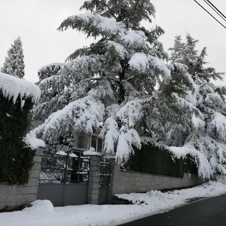 Aurelia - Con Jardín Y Piscina Entre Madrid Y Segovia