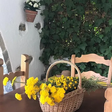 Aurelia - Con Jardin Y Piscina Entre Madrid Y Segovia Tatil Evi