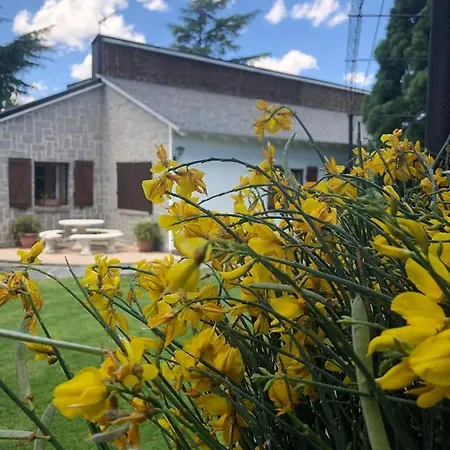 بيت للعطل Aurelia - Con Jardin Y Piscina Entre Madrid Y Segovia