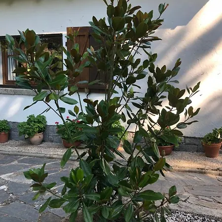 Сasa de vacaciones Aurelia - Con Jardín Y Piscina Entre Madrid Y Segovia *